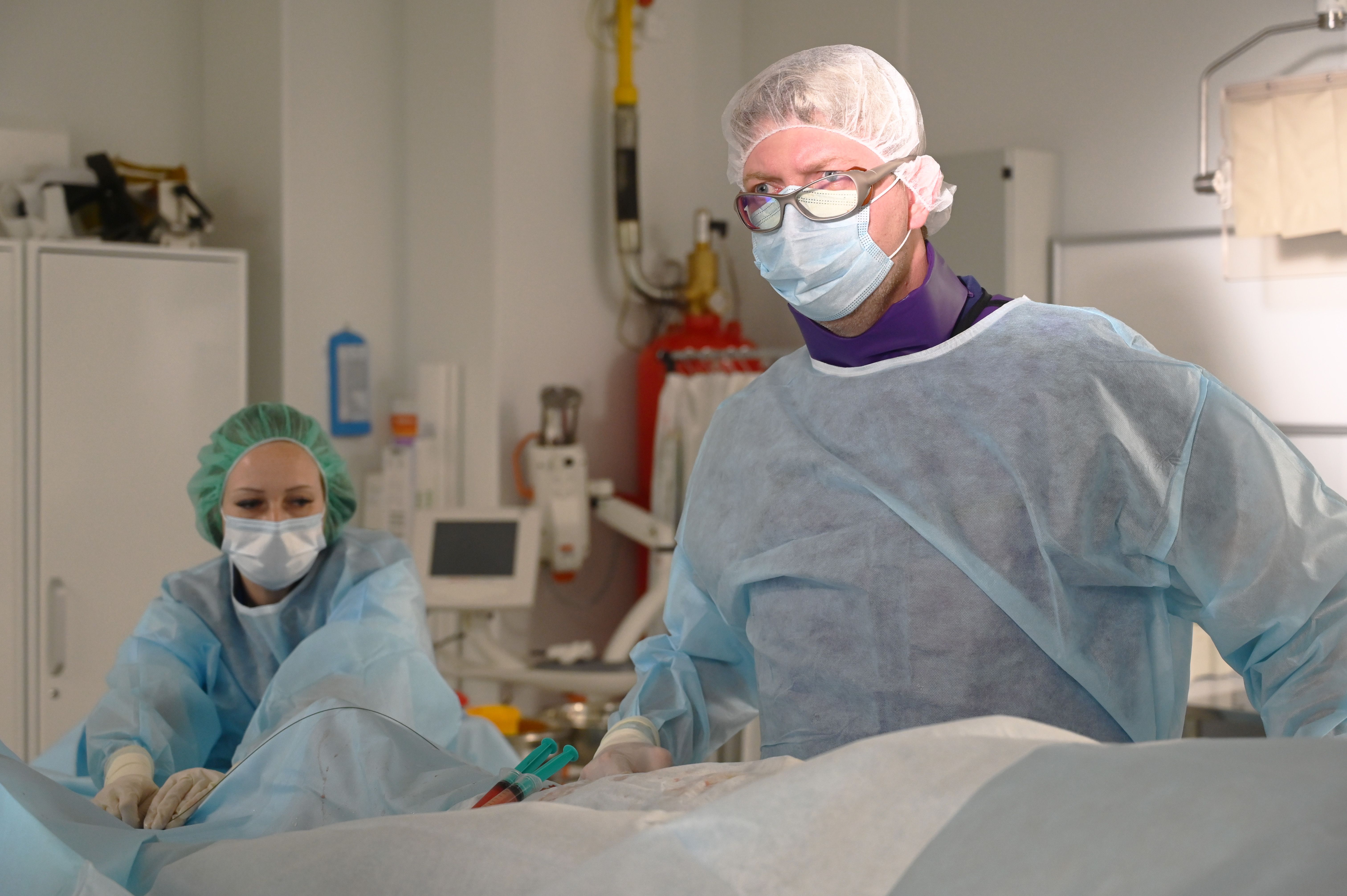 Endovascular Surgery Department