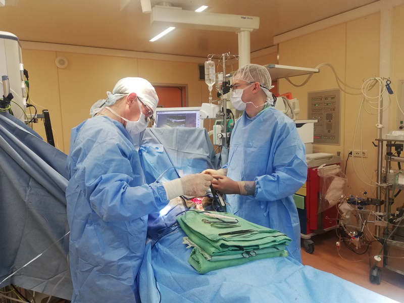Около 200 операций коронарного шунтирования с использованием современного девайса выполнили кардиохирурги больницы Вересаева